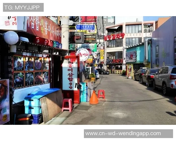 日本VS站的魅力与挑战探索日本文化与旅游的完美结合之旅